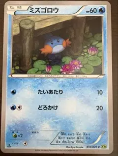ミズゴロウ C XY5 タイダルストーム 012/070 - メルカリ