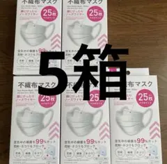 不織布マスク ホワイト 25枚が5箱　125枚　小さめサイズ☆☆☆BCD