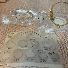 うちの子のけだまだま　プードル　ポメラニアン