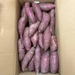 箱込み5キロ　農薬不使用　紅はるか「さつまいも」SからMサイズ