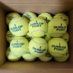 DUNLOP FORT テニスボール 16個セット 今週開封 エア圧練習ゲーム可