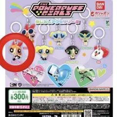 めじるしアクセサリー パワパフ