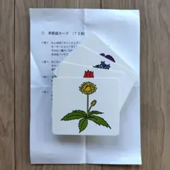小学校受験 ピグマリオン 季節感カード 72枚 知育玩具