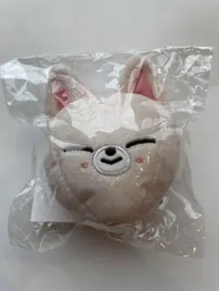 stray kids skzoo フォクシニー バッグチャーム　気球　アイエン