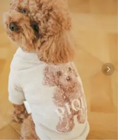 gelato pique 犬用品