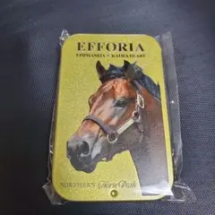 エフフォーリア 缶 スライド缶 ノーザンホースパーク 競馬 JRA GOLD