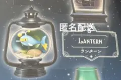 匿名配送　ポケモン　リーメント　ランタンジオラマ　ランターン