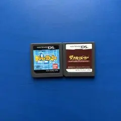 ニンテンドーDSソフト　2点セット