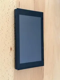 Nintendo Switch 本体 グレー ドッグ 殆ど遊びませんでした