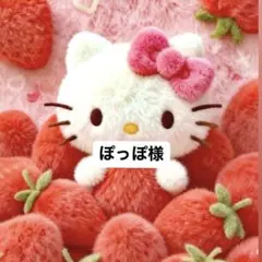 ✩.* ぽっぽ様 専用ページ ✩.*