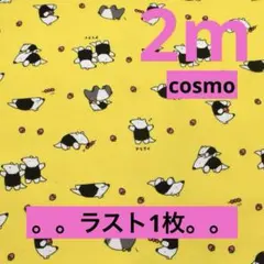 Item thumbnail for item 0d9a8d11-013c-4660-a368-4d891da2575f