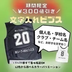 【名入れ】ビブス オーダーメイド 12枚 １箇所プリント (枚数変更可能) 名入れ】ビブス オーダーメイド 12枚 1箇所プリント (枚数変更可能