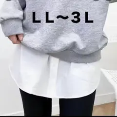 Item thumbnail for item 4f98c185-410d-4997-a8a1-06ad9798065d