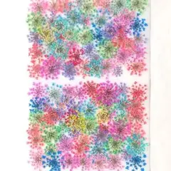 押し花 素材 訳あり レースフラワー No.38