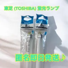 Item thumbnail for item c3934a5a-4128-47d3-8268-fffc29f44f92