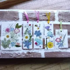 草花の押し花ラミネート☆押し花のしおり☆ハンドメイド☆プレゼント☆5枚＋オマケ付