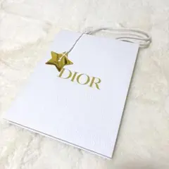 【未使用】DIOR ベビーディオール 紙袋 ゴールドチャーム付 ショップバッグ