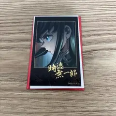 鬼滅の刃 ティザービジュアル 第1弾 ランダムチェキ風ブロマイド 時透無一郎