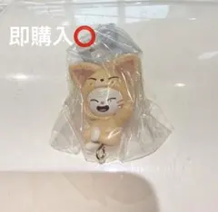 SKZOO つまんでつなげてますこっと　ジニレット　ガチャガチャ