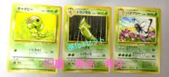 旧裏。1996年発行の、トランセルの成長記録。ポケモンカード3枚セット