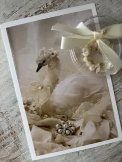 Item thumbnail for item 25b65889-82b9-494b-a926-202e7a773f5a