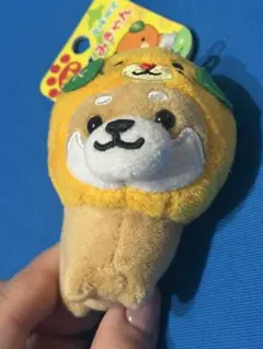 旅するマメしば 愛媛限定 みきゃん ぬいぐるみ マスコット