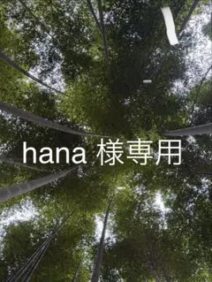 hana 様専用ページ　竹炭8cm.竹炭竹酢液原液