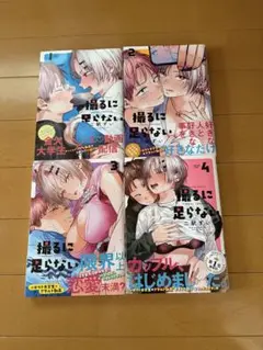 撮るに足らない1巻～4巻セット