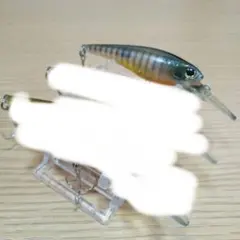 らんらん様専用