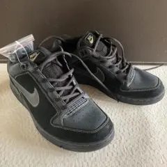 ☆新品・希少☆NIKE Dunk Zoom Air Angus ［29cm］ - メルカリ