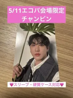 straykids チャンビン 5/11エコパ会場限定トレカ