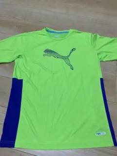 Item thumbnail for item baa24ef3-568a-4ef5-8b81-f70fca525c51