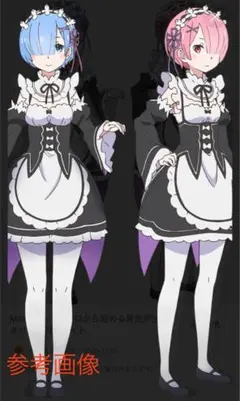 ニ*ン様 【色紙イラスト】リゼロ　レム　ラム　逆バニー ニ*ン様 【色紙イラスト】リゼロ レム ラム 逆バニー - メルカリ