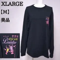 【美品】XLARGE グラフィック Tシャツ M ブラック スナック 4375