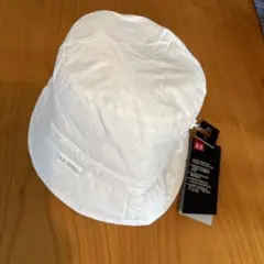 Item thumbnail for item 382e8252-8983-4311-bf07-4b13bfdff3e7