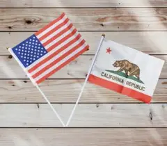 星条旗とカリフォルニア州旗のミニフラッグ2本セット！