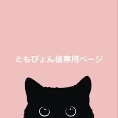 ともぴょん様専用ページのサムネイル