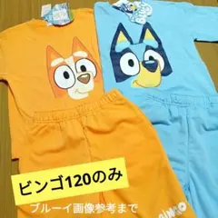 Bluey　ブルーイなりきりセットアップ 新品タグ付き 120 【ビンゴのみ★】