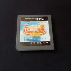 【レアソフト】13歳のハローワーク　DSソフト