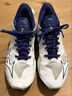 MIZUNO ミズノ　ウエーブミラージュ5 ハンドボール　24.5cm 室内靴