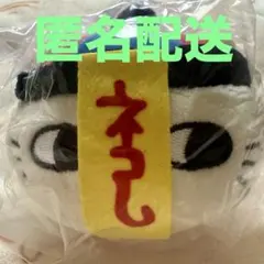 ナガノキャラクターズ もっちるフェイスマスコット　キョンシー