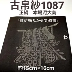 Item thumbnail for item ca58ca0d-d244-4afa-9529-a380fcac60ef