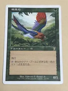 MTG 極楽鳥　日本語版　８版