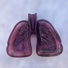 Item thumbnail for item 38014cae-903b-440b-8f86-15236caa6796