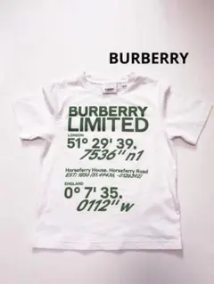 BURBERRY バーバリー　Tシャツ キッズ　6Y 116cm 白　グリーン