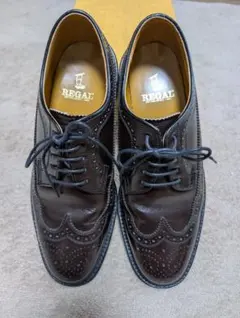 【美品】REGAL 2589N ダークブラウン 25.5cm　リーガル