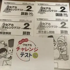 2025年11月 小2ワセアカチャレンジテストのサムネイル