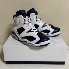 2024年製 NIKE AIR JORDAN6レトロ オリンピック 27.5cm