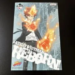 一番くじＶ　家庭教師ヒットマン REBORN!　沢田綱吉 ポストカード