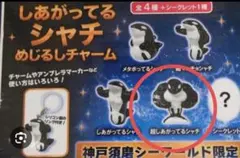 2026年最新】須磨シーワールド シャチ キーホルダーの人気アイテム